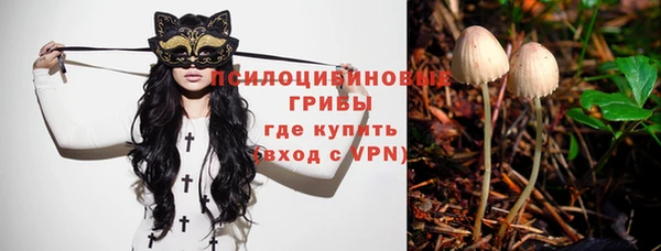 бутират Алзамай