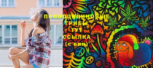 стафф Алексеевка