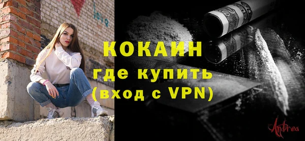 дмт Гусев