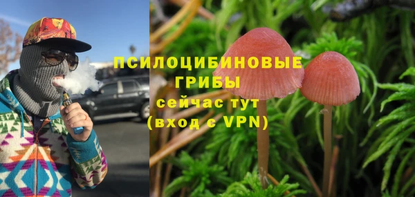 бутират Алзамай
